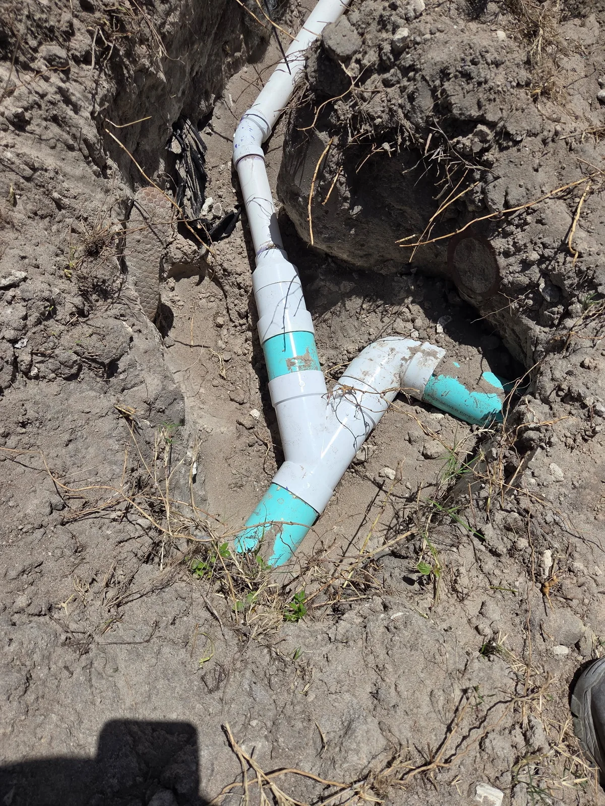 PVC drain line repair exposed in a dug trench in the yard